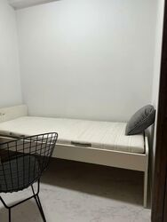 Tanah Merah Kechil Link (D16), Condominium #557948081